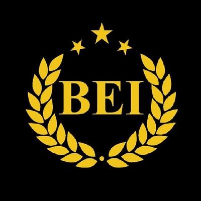 BEI CONSULTANCY LIMITED