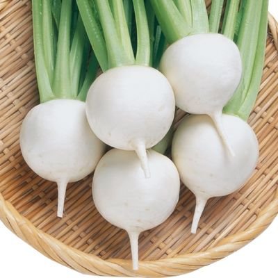 乱々📈📉現物投資