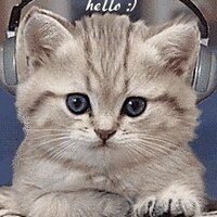 🌺 Kanlayanee S. 🐈