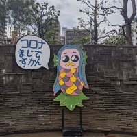 dai0621🧸🌈