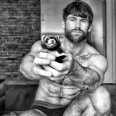 Stefan 🏳️‍🌈Ⓥ😐☮️