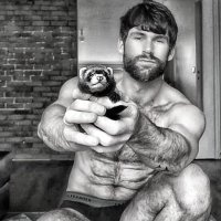 Stefan 🏳️‍🌈Ⓥ😐☮️