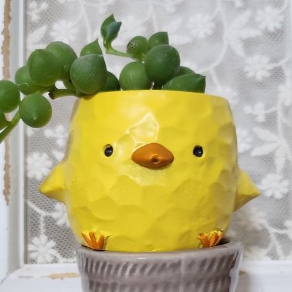 𝙷𝙸𝚈𝙾𝙲𝙾 ᴱᴺ⁻ᴶᴬᴷᴱ¹¹¹⁵‎