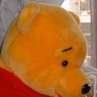 海熊🐻いずみ💦瑞999🚂茜❤️月組🌛