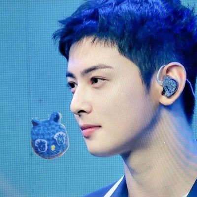 とんちゃんお休み中