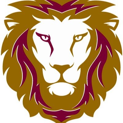 CONSULTORES CSH Carrasco