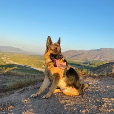 🌎2026 LaTumbaDelSocialComunismo☠️