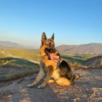 🌎2026 LaTumbaDelSocialComunismo☠️