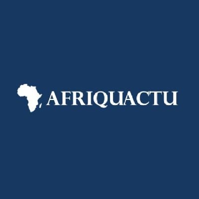 Afriquactu.net