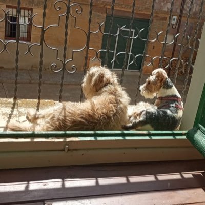 FONSEJ 🇪🇸🫶🇺🇦