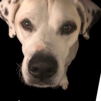 Gigi Linda is Disgusted