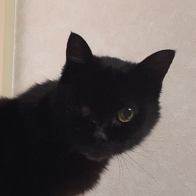 植田武智（Takenori Ueda）