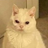 milena roubando enredo