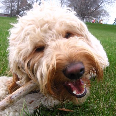 Eva 🇨🇿🇨🇦