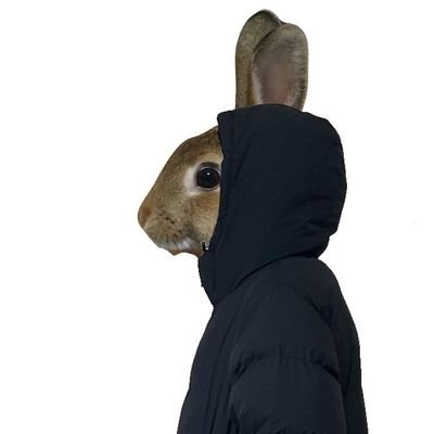 365日うさぎ（アニマルマン）