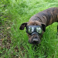 Clarity☯️🌎🌈🏳️‍🌈🏳️‍⚧️