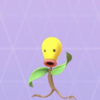 カヤマ　仙台市内フェラ