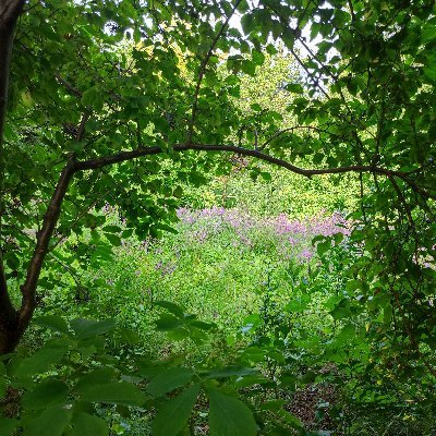 Mughettospuntablu🤣