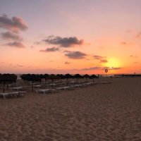 💙💚💛🧡❤️ #BLM #TransLivesMatter #FreePalestine