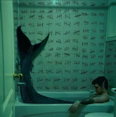 🦎 Allegra 🦎🐚