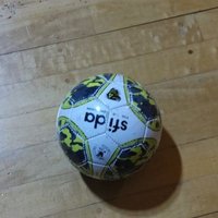 ヒロヤス サトウ