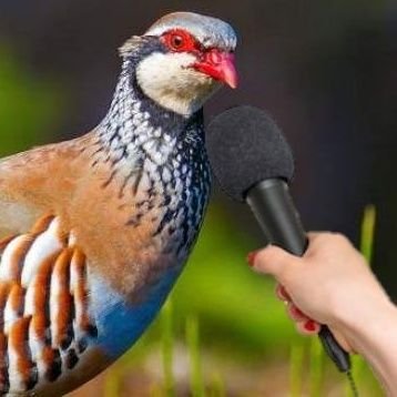 Notas de Inteligencia