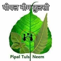 DR. DHARMENDRA kumar