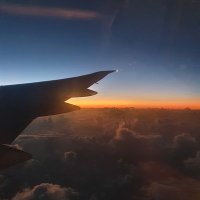 🏝🟢⚪️Celia🔴🟡🏝