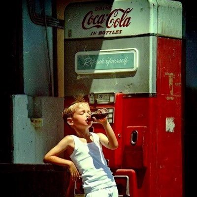 Justice For Hedgehogs 🦔⚖️🇺🇸