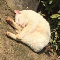 かっしー💫☃️