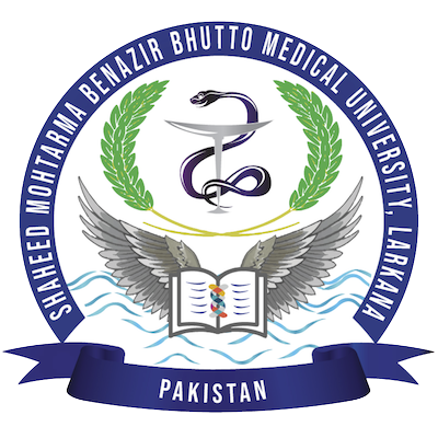 SMBB Medical University Larkana