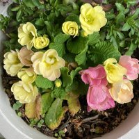 名乗るほどのものではない