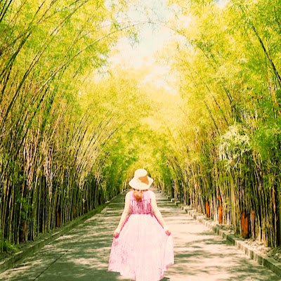 孤独のしゅーふ📚