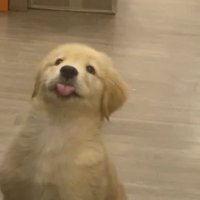 w__aaayoขายแอพพรีเมียมราคาถูก ˗ˏˋയ ✩