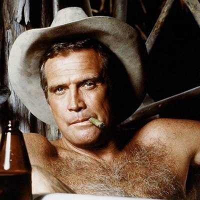 Colt Seavers Role Model and Hero