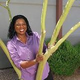 Spring Robinson-Turn