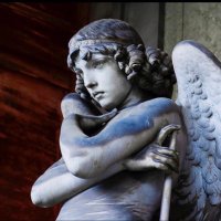 Anneke 🌸🇦🇺🦁🚺🗣⚖️