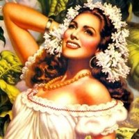 𝙇𝘼𝙏𝘼𝙈 𝘼𝙀𝙎𝙏𝙃𝙀𝙏𝙄𝘾 ✨🦜