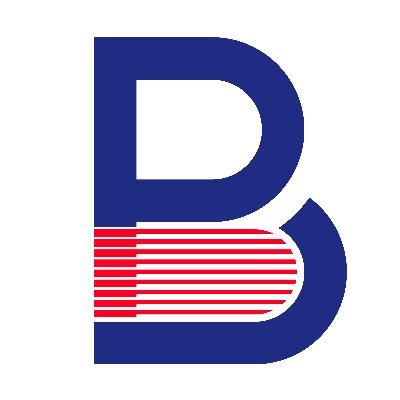 Bilingual Publishing Group