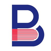 Bilingual Publishing Group