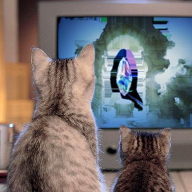 マキャモン 🏇473063492🏇