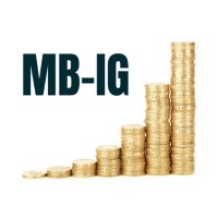 MB-IG