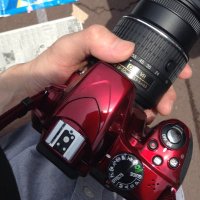 ガッチャメン🦕