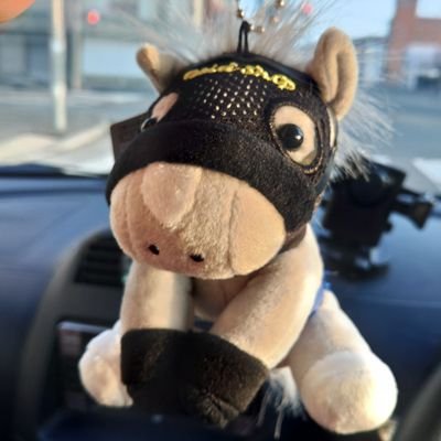 ﾄ● でんすけ萃香 ﾄ●