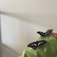 غيـم الحـربي 🇸🇦🖤