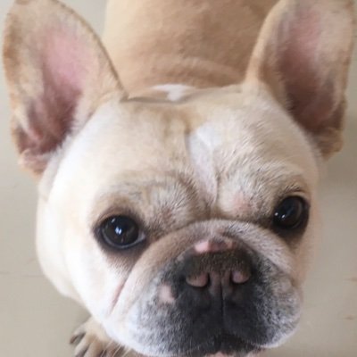 Pdwwzxl🔥🔥🔥🔥🔥🔥🔥