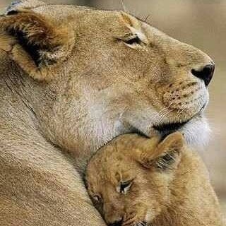 Citizen of New India