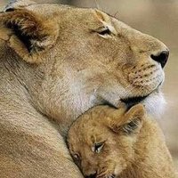 Citizen of New India