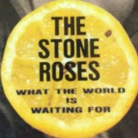 真・ロックをこよなく愛するもの🌈