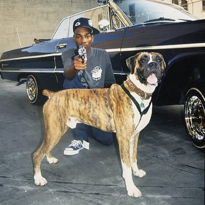 Jayden Fort’s Comrade